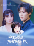 领结婚证附赠萌娃一枚(全集)