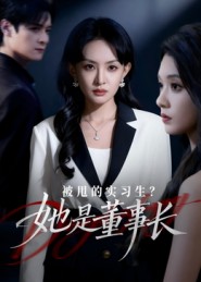 被甩的实习生？她是董事长！(全集)